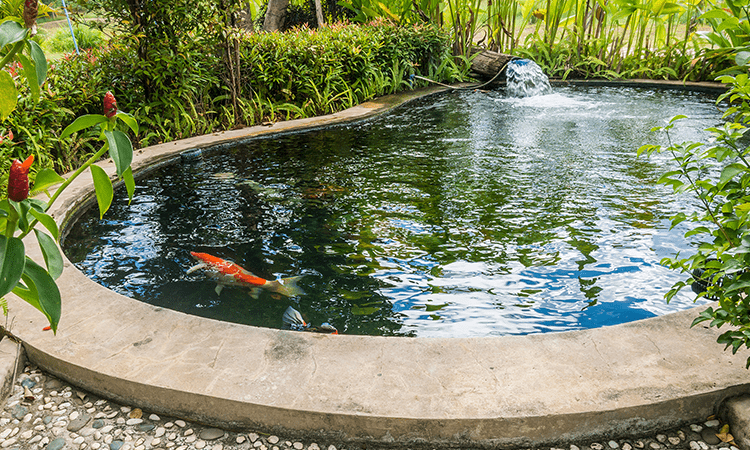 TerraSystem - Tworzenie oczek wodnych